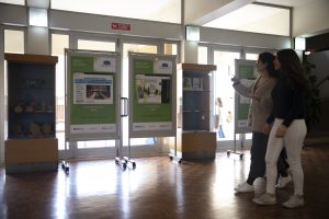Faculdade de Psicologia da Universidade de Lisboa e Instituo da Educação