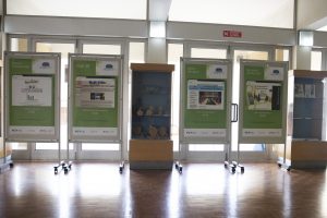 Faculdade de Psicologia da Universidade de Lisboa e Instituto da Educação
